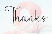 Beauty Flamingo, a Handwritten Font by InermediaSTUDIO (Thumbnail 7 of 7)