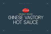 Houston, a Serif Font by Gatype (Thumbnail 3 of 10)