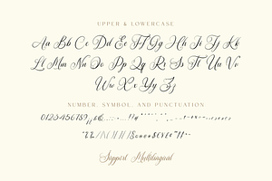 Sillysoffia Script Font