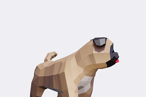 Low Poly Pug Dog