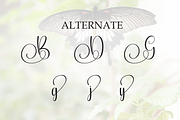 Butterfly | Script Font, a Handwritten Font by Scratchones (Thumbnail 8 of 9)