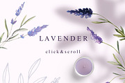 GREEN FLEUR & FRUITS-2 in 1, an Object Graphic by Natalia Tugova (Thumbnail 15 of 21)