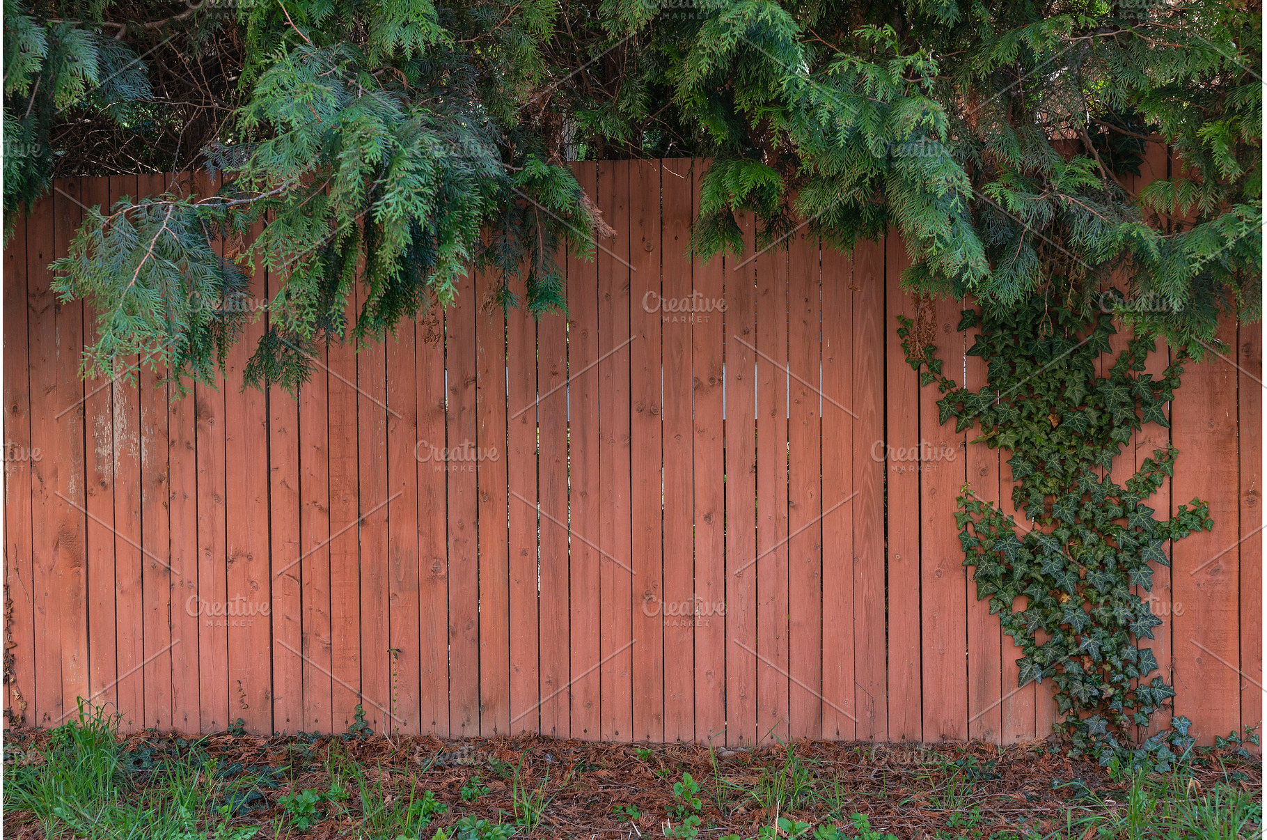 Red Wooden Fence with Evergreen, a Nature Photo by Lermont51