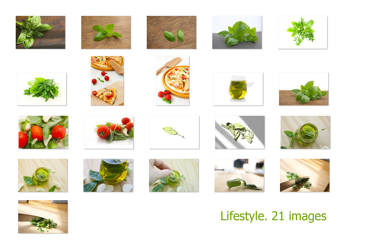 Basil leaves and herb, 100 images, a Food & Drink Photo by Pullia (Photo 7 of 7)