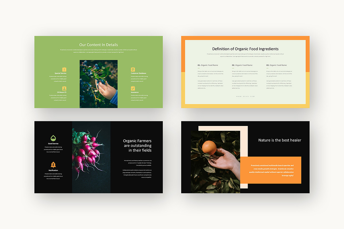 Devg : Food Venture Google Slides, a Presentation Template by Punkl Camp (Photo 11 of 16)