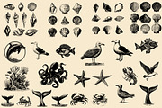 Vintage Coastal Travel Illustrations, an Object Illustration by Nocturnal Wolf (Thumbnail 25 of 27)