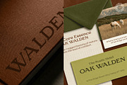 Halmera Thornwood- Serif Font Family, a Serif Font by Setara Langit CreativeStd (Thumbnail 7 of 12)