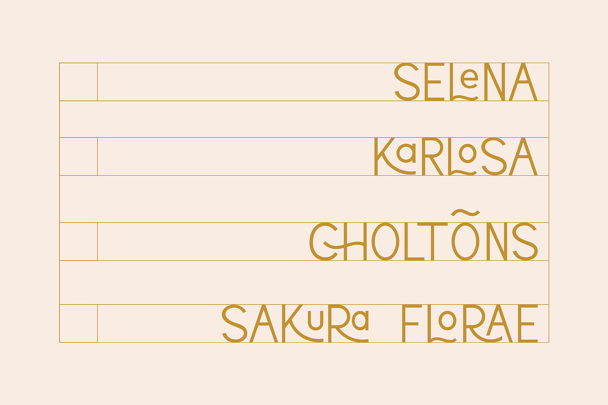 Lorena Typeface, a Sans Serif Font by CCS Type (Photo 20 of 21)