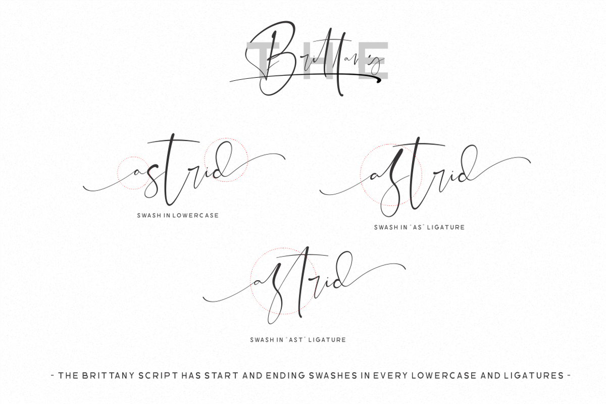 The Brittany / Font Trio, a Script Font by Sronstudio (Photo 17 of 19)