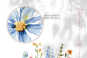 Watercolor Flower - Delicate Wild, a Decorative Illustration by Beigetime (Thumbnail 2 of 16)