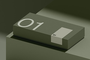 Box 01 Standard Mockup