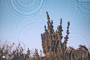Water Reflection Photo Effect, a Layer Style Add-On by Freezerondigital (Thumbnail 7 of 7)