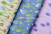 Watercolor Muscari Seamless Patterns, an Illustration by OlDm_Shop (Thumbnail 6 of 9)