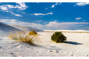 White Sands National Park landscape, a Nature Photo by Leonid Andronov
