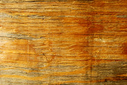 SALE - Plywood Texture Pack, a Texture Graphic by RM Photos and Art (Thumbnail 2 of 4)