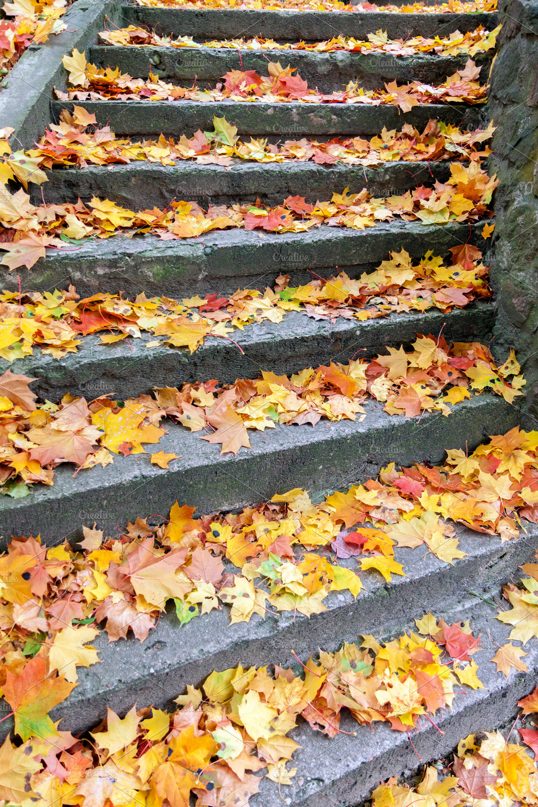 Stone steps at autumn, a Nature Photo by BOOCYS