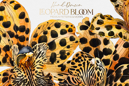 Leopard Bloom - Patterns & Motifs