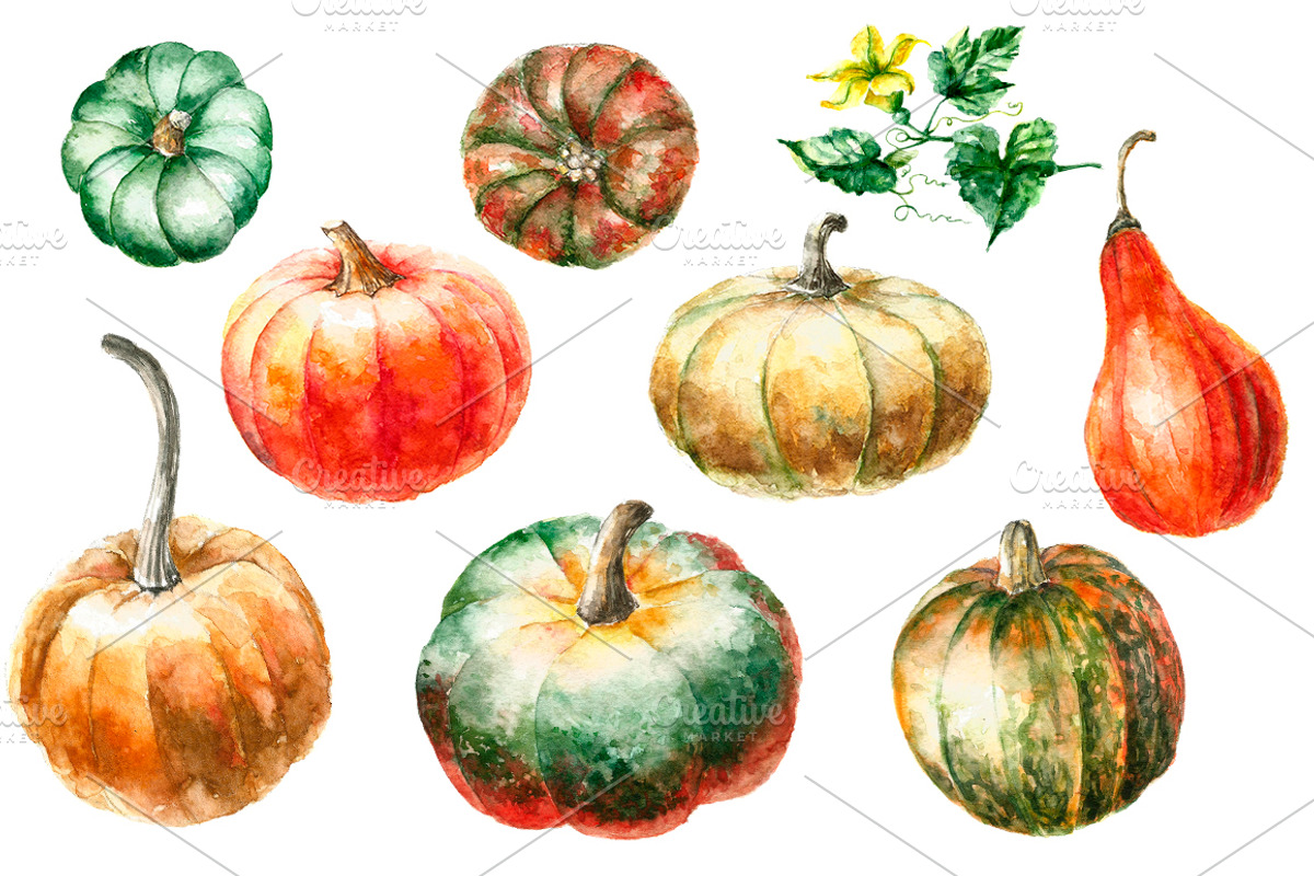 Watercolor Pumpkins Clipart, an Illustration by Vikeriya (Photo 2 of 3)