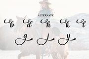 Cowgril | Script Font, a Handwritten Font by Scratchones (Thumbnail 8 of 9)
