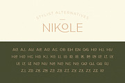 Classy Taylor Typeface, a Serif Font by CCS Type (Thumbnail 21 of 24)