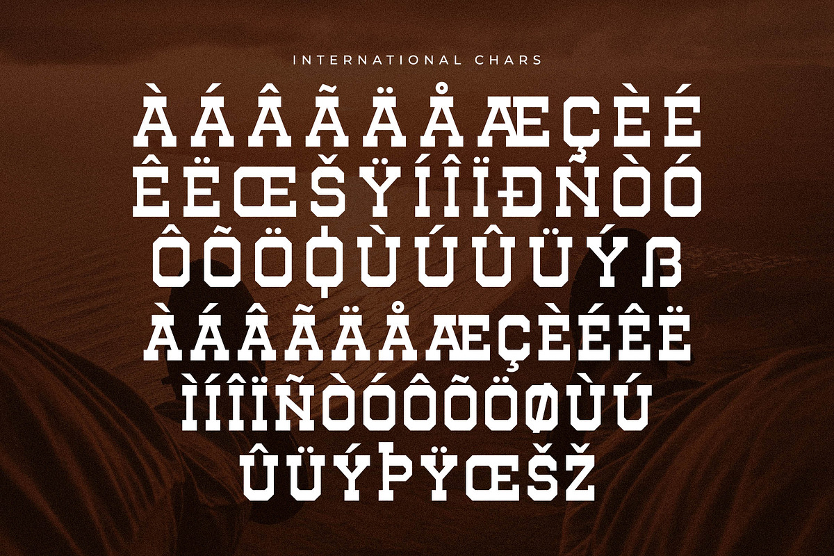 Henk Singer Slab Serif Font, a Slab Serif Font by Storytype Studio (Photo 14 of 15)