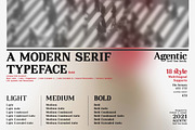 Agentic - Serif font family, a Serif Font by Artistic & Unique (Thumbnail 4 of 13)