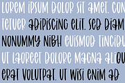 AUTUMN FARMHOUSE FONT BUNDLE, a Font by Blush Font Co. (Thumbnail 9 of 31)