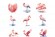 Flamingo Watercolour Clipart, an Animal Illustration by BrushstrokeArtGB (Thumbnail 4 of 9)