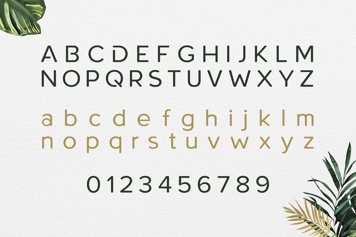 Roundor Font Family - Sans Serif, a Sans Serif Font by RC graphics (Photo 2 of 9)