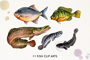 Amazon Fishing Watercolor, an Illustration by Graphobia (Thumbnail 2 of 11)