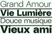 ZT Talk Sans - 80 Font, a Sans Serif Font by zelow type (Thumbnail 9 of 15)