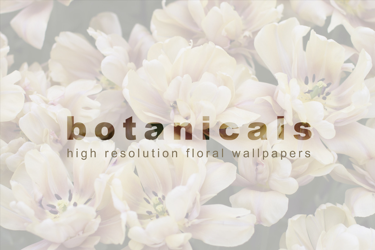 Botanicals, a Background Graphic by AmethistLab (Photo 1 of 4)