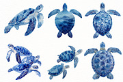 watercolor sea turtle clipart, an Illustration by Designworld (Thumbnail 4 of 8)