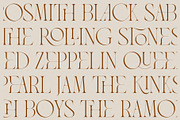 The Modern Typography Bundle, a Serif Font by Ivan Rosenberg (Thumbnail 53 of 58)