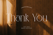 CANOVER | Ligature Serif, a Serif Font by ToniStudio (Thumbnail 11 of 11)