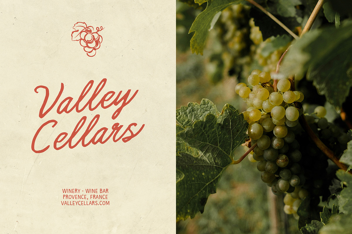 Saltwater Society, a Handwritten Font by supfonts (Photo 11 of 12)