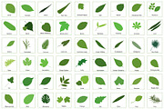 81 Leaves with their names, an Illustration by Nick Novell (Thumbnail 2 of 6)