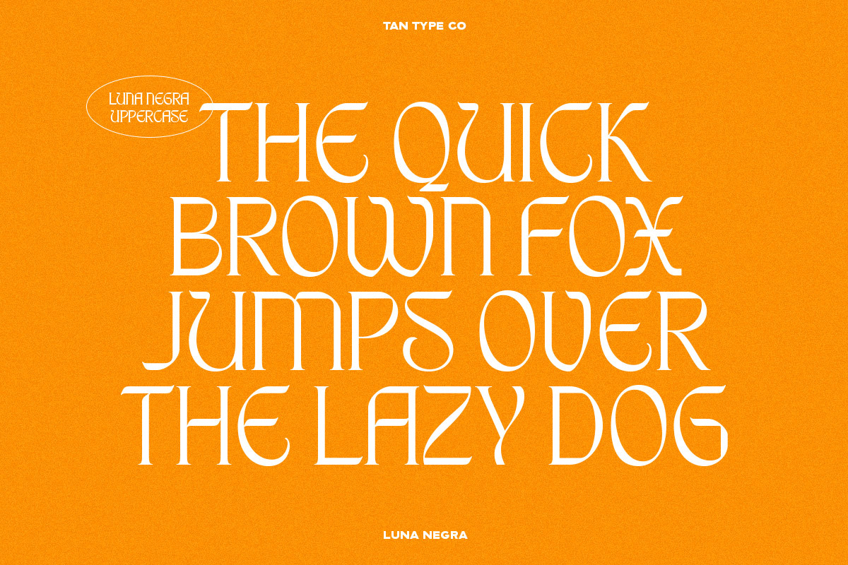 TAN - LUNA NEGRA, a Serif Font by TanType (Photo 8 of 16)