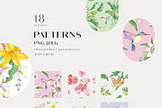 PURA magia de la naturaleza, an Illustration by SoNice (Thumbnail 9 of 12)