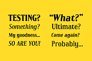 Irreverent Display (40% off), a Serif Font by Nathan Metzler (Thumbnail 6 of 6)