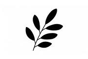 Botanical Leaf Silhouette Bundle, an Illustration by Creativeshirt (Thumbnail 27 of 51)