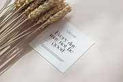 Buffon Modern Serif Font, a Serif Font by Graphicxell (Thumbnail 8 of 8)