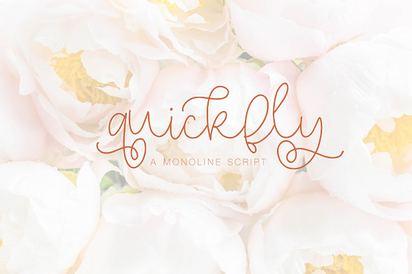 Quickfly - A Monoline Script preview 5