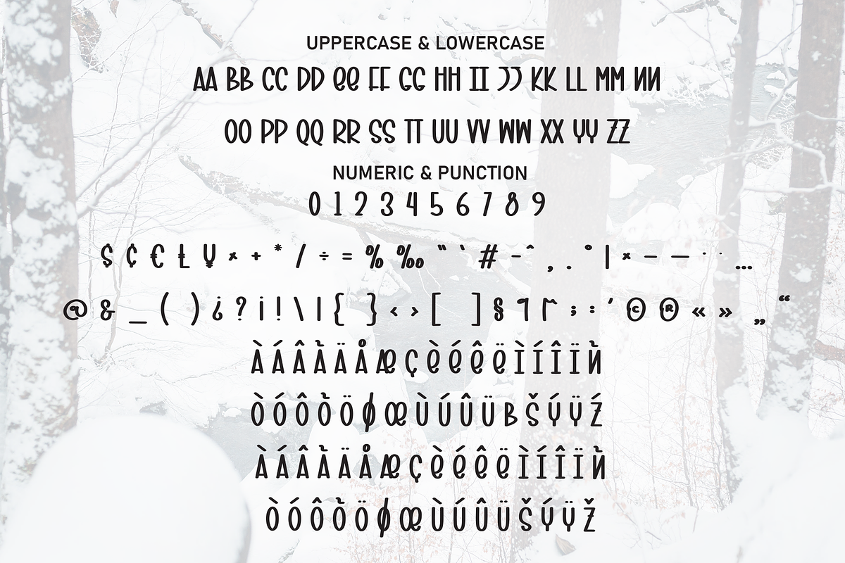 Winter Jungle | Script Font, a Script Font by Scratchones (Photo 7 of 8)