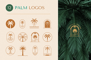 Palm Logos And Emblems