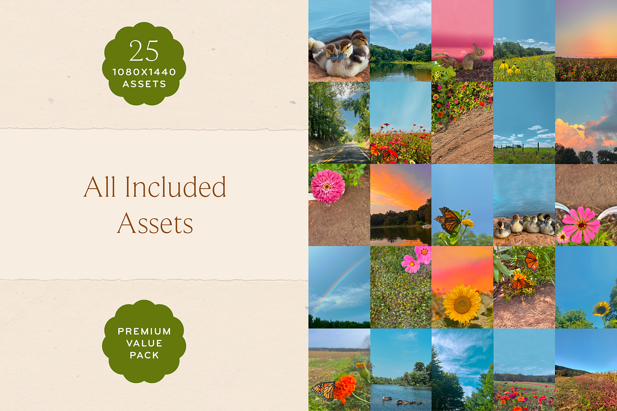Wildflower Backgrounds for Instagram, a Background Graphic by Ashley Scott Designs (Photo 2 of 3)
