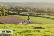 Gingham Lightroom Preset, an Action Add-On by The Bell Sisters (Thumbnail 3 of 11)