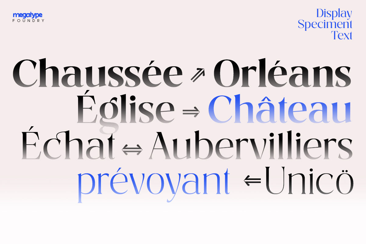Costaline Font Family| Sale 40%, a Serif Font by Megatype (Photo 2 of 15)