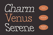 CS Gains – Classic Font, a Serif Font by Craft Supply Co. (Thumbnail 5 of 8)