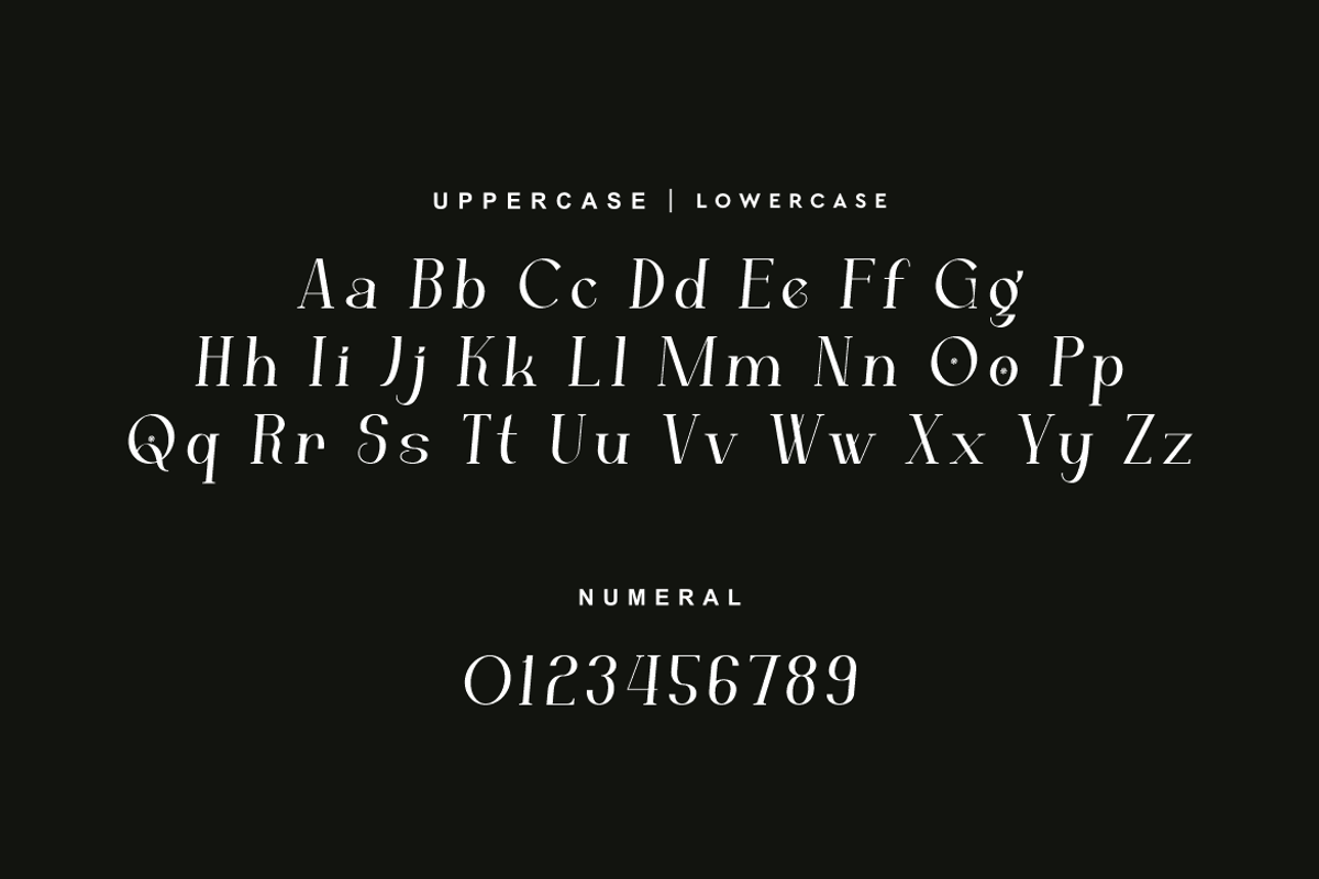 Catgeora - Elegant Serif Font, a Serif Font by QR Design Studio (Photo 4 of 16)